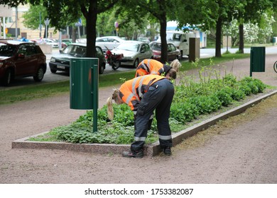 Pori, Finland - June 5 2020: Documentary Of Everyday Life And Place. Park Workers Take Care Of The Plants.