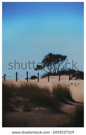 Similar – Image, Stock Photo day at the sea #4 Nature