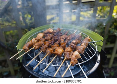 A Pork Barbecue On Sticks On A Small Outdoor Grill Station