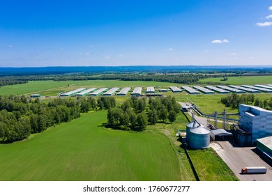 Pork Farm In The Countryside, Aerial Shot