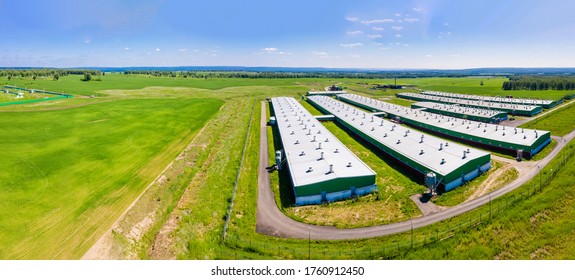 Pork Farm In The Countryside, Aerial Shot