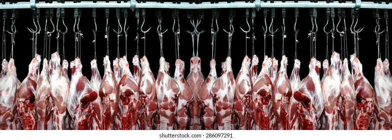 Pork meat hanged on a hooks in a butchery on a black background.