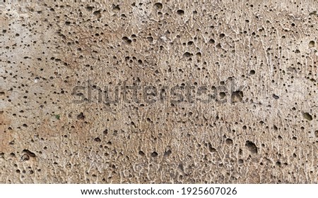Porous concrete surface. Caverns, cracks. Color - Squirrel, Hue Brown.