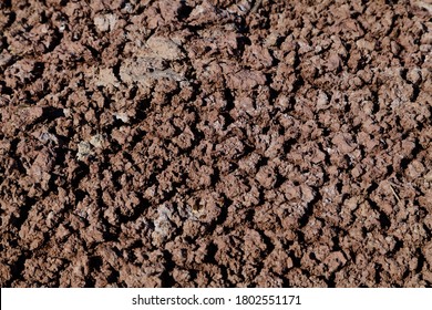 Porous Cracked Dried Soil In Utah Desert