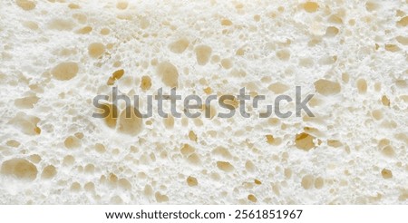 porous pattern of white soft bread crump