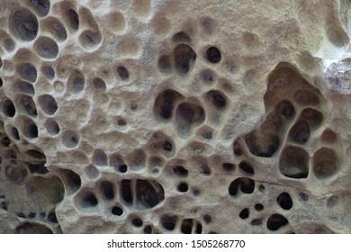 Porous Stone Limestone Rock Background Stock Photo 1505268770 ...