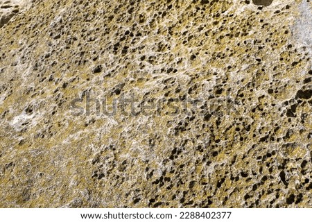 Porous texture of natural stone close-up. 