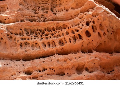 Porous textured canyon wall in Utah