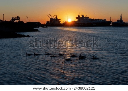 Port of Port Angeles with its industrial, shipping and cargo ships during summer sunset