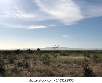 Port Chicago Highway Army Cranes - Pittsburg, CA