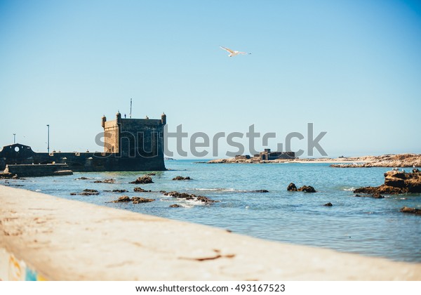 Port Essaouira Marocco Stock Photo Edit Now