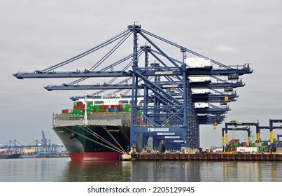 Port Of Felixstowe, Suffolk, United Kingdom, September 21, 2022. Large Bulk Carrier Container Ship In Dock. Being Loaded By Cranes. Illustrates International Trade, Economic Growth, Globalisation