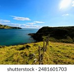 The Port Jackson, New Zealand with beach vibes