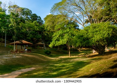 PORT OF SPAIN, TRINIDAD - February 4 2019: A Peaceful Scene, In The Royal Botanic Gardens Port Of Spain, Trinidad.