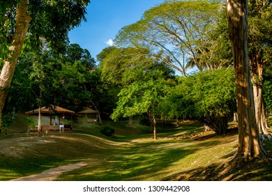 PORT OF SPAIN, TRINIDAD - February 4 2019: A Peaceful Scene, In The Royal Botanic Gardens Port Of Spain, Trinidad.