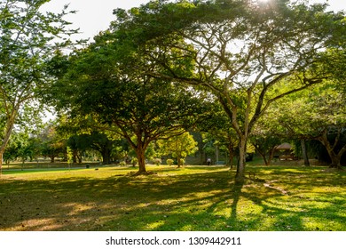 PORT OF SPAIN, TRINIDAD - February 4 2019: A Peaceful Scene, In The Royal Botanic Gardens Port Of Spain, Trinidad.