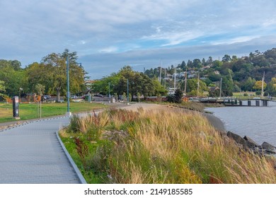 Port At Tamar River In Launceston, Australia