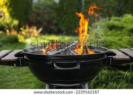 Portable barbecue grill with fire flames outdoors, closeup