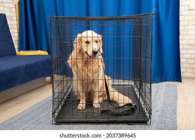 Portable cage for medium and large-sized dogs.