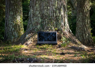 
portable computer in the middle of the forest