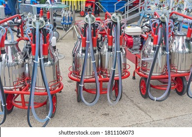 Portable Cow Milking Suction Machine At Dairy Farm