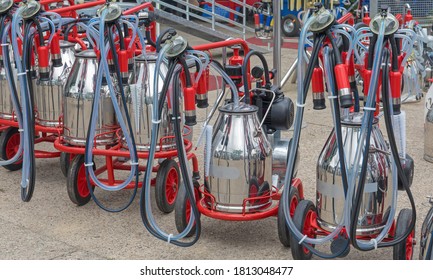 Portable Cow Milking Suction Machine At Dairy Farm