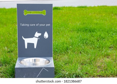 Portable pet water drinker for dogs and cats on green grass. Pet water dispenser. Accessories for pets. Preventing dogs from becoming dehydrated while walking in hot weather. Selective focus