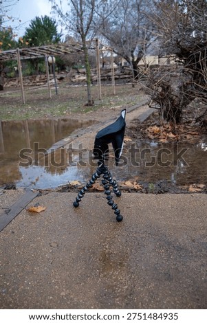 Portable speedlight flash with a small diffuser mounted on a small flexible tripod used for outdoor photography lighting. Compact lighting setup placed in a park after rain demonstrating how