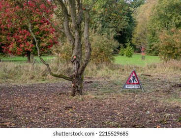 Portable Tree Cutting Sign On Ground Next To A Newly Pruned Tree.