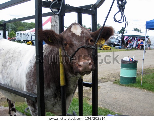 Portage Wisconsin Usa July 27 2013 Stock Photo Edit Now 1347202514