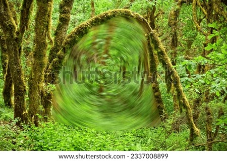 Portal in forest with mossy arch