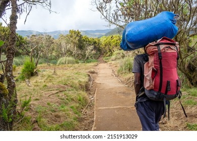 A Porter Walks The Path On The Trek Toward Kilimanjaro