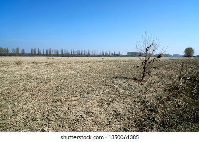 Portiolo Mnitaly Dry Po River Caused Stock Photo 1350061385 | Shutterstock