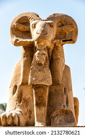 Portion of the Avenue of Sphinxes with Ram headed sphinxes in front of Karnak Temple in Luxor, Egypt