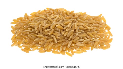 395 Khorasan wheat Images, Stock Photos & Vectors | Shutterstock