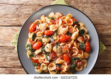 Portion of orecchiette pasta with spinach in tomato sauce sprinkled with parmesan closeup in a plate on the table. Horizontal top view from above