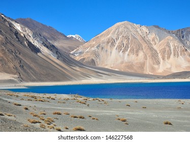 Portion Pangong Lake Ladakh India Stock Photo 146227568 | Shutterstock