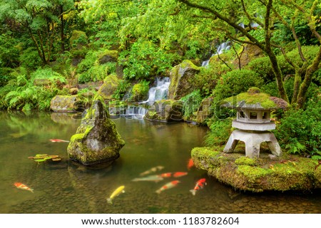 Portland Japanese Garden pond with koi fish carp
