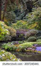 Portland Japanese Garden In USA