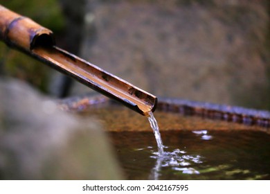 Portland Japanese Garden In USA