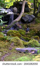 Portland Japanese Garden In USA