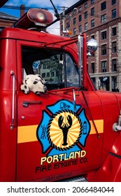 Portland, Maine - U.S.A. - 10-28-2021: A Stuffed Dog Hangs Out Of The Window Of A Old Portland Fire Truck In Maine.