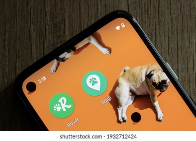 Portland, OR, USA - Mar 9, 2021: Rover and Wag app icons are seen on a Google Pixel smartphone. Both apps offer to find local on-demand dog walkers, sitters, and boarders.