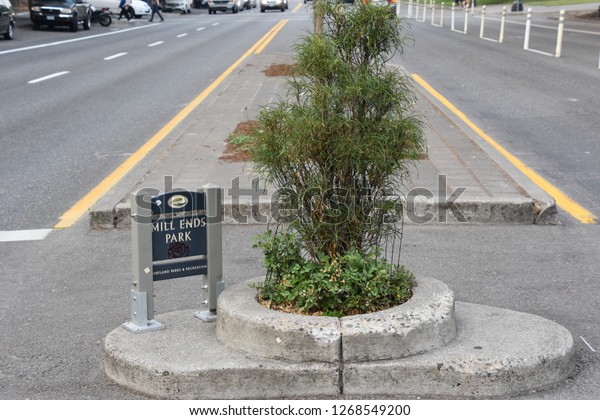 PORTLAND, OREGON - AUG 22: Mills End Park in\
Portland, Oregon, on Aug 22, 2018. It is the smallest park in the\
world, per Guinness Book of Records, which first granted it this\
recognition in 1971.
