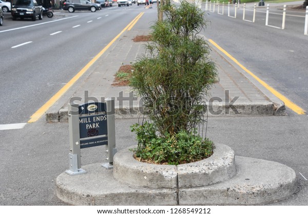 PORTLAND, OREGON - AUG 22: Mills End Park in\
Portland, Oregon, on Aug 22, 2018. It is the smallest park in the\
world, per Guinness Book of Records, which first granted it this\
recognition in 1971.