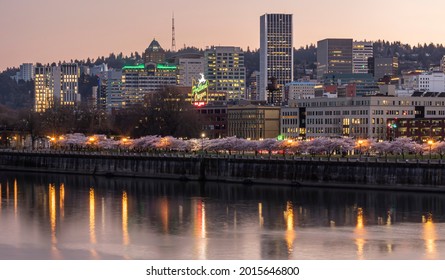 Portland, Oregon. Tom McCall Waterfront Park On The Willamette River.