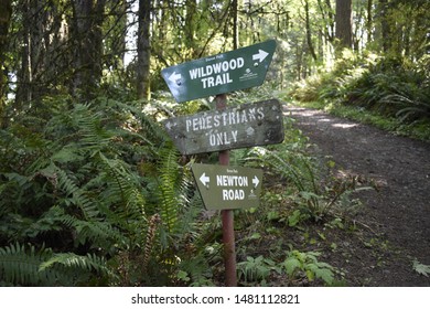 Portland OR USA – Aug. 12, 2019: The Wildwood Trail in Forest Park has direction signs, like this one, at almost every trail and road junction.