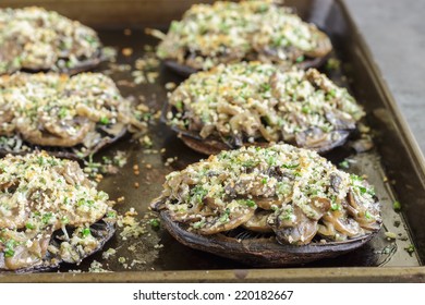 Portobello Mushroom Caps Filled With Shallots And Cremini Mushroom In A White Wine Cream Sauce, Broiled With A Parmesan, Chive And Cilantro Panko Topping