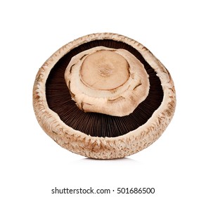 Portobello Mushroom Isolated On The White Background.