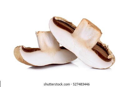 Portobello Mushroom Isolated On The White Background.